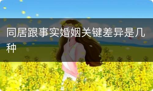 同居跟事实婚姻关键差异是几种