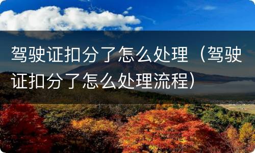 驾驶证扣分了怎么处理（驾驶证扣分了怎么处理流程）