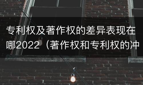 专利权及著作权的差异表现在哪2022（著作权和专利权的冲突）
