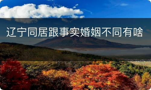 辽宁同居跟事实婚姻不同有啥