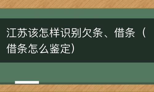 江苏该怎样识别欠条、借条（借条怎么鉴定）