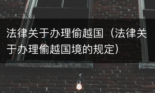法律关于办理偷越国（法律关于办理偷越国境的规定）