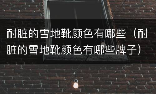 耐脏的雪地靴颜色有哪些（耐脏的雪地靴颜色有哪些牌子）
