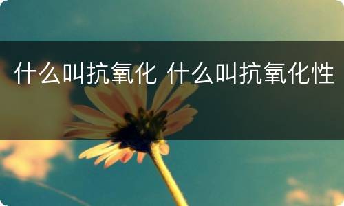 什么叫抗氧化 什么叫抗氧化性