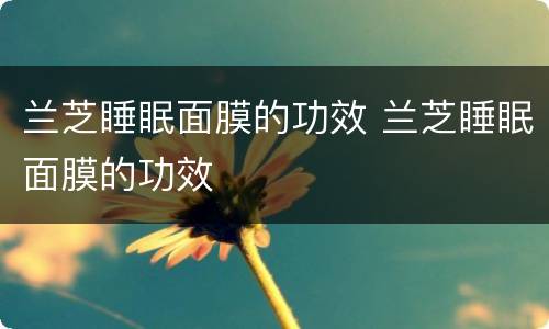 兰芝睡眠面膜的功效 兰芝睡眠面膜的功效