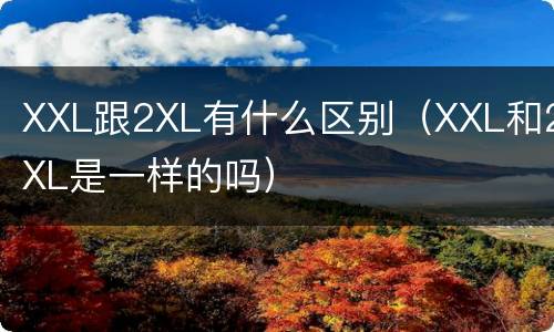 XXL跟2XL有什么区别（XXL和2XL是一样的吗）