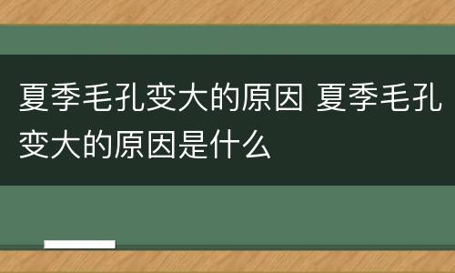 夏季毛孔变大的原因 夏季毛孔变大的原因是什么