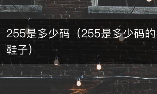 255是多少码（255是多少码的鞋子）