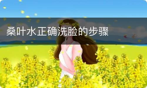 桑叶水正确洗脸的步骤