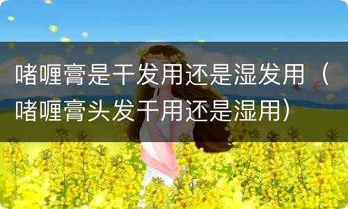 啫喱膏是干发用还是湿发用（啫喱膏头发干用还是湿用）