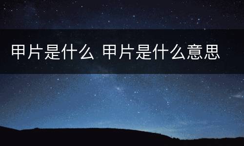 甲片是什么 甲片是什么意思