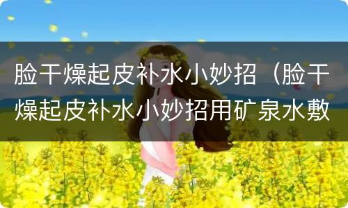 脸干燥起皮补水小妙招（脸干燥起皮补水小妙招用矿泉水敷）