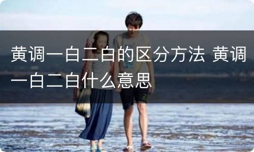 黄调一白二白的区分方法 黄调一白二白什么意思