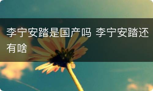 李宁安踏是国产吗 李宁安踏还有啥