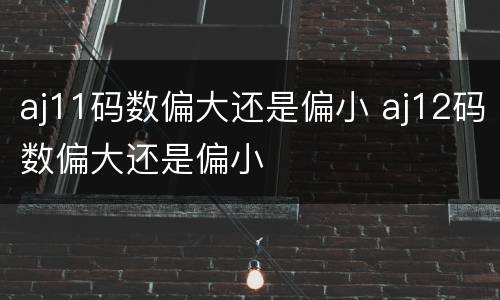 aj11码数偏大还是偏小 aj12码数偏大还是偏小