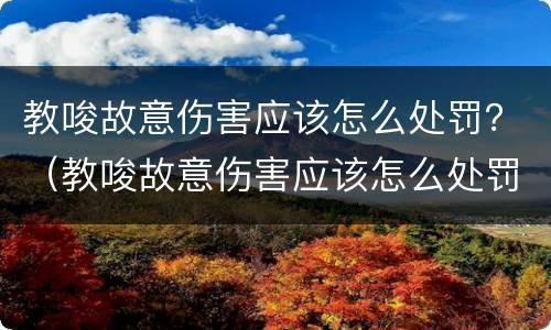 教唆故意伤害应该怎么处罚？（教唆故意伤害应该怎么处罚呢）