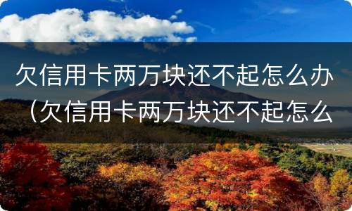 欠信用卡两万块还不起怎么办（欠信用卡两万块还不起怎么办呀）