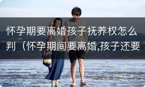 怀孕期要离婚孩子抚养权怎么判（怀孕期间要离婚,孩子还要吗）