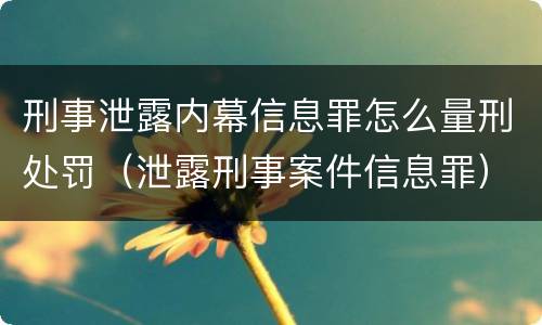 刑事泄露内幕信息罪怎么量刑处罚（泄露刑事案件信息罪）