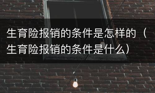 生育险报销的条件是怎样的（生育险报销的条件是什么）