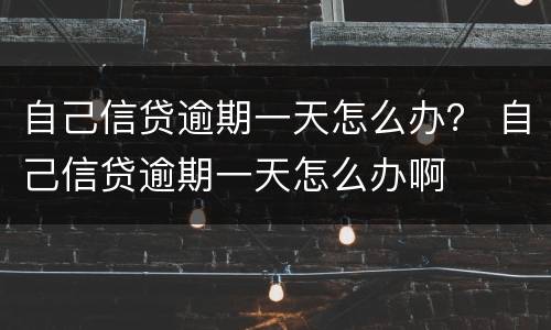 自己信贷逾期一天怎么办？ 自己信贷逾期一天怎么办啊