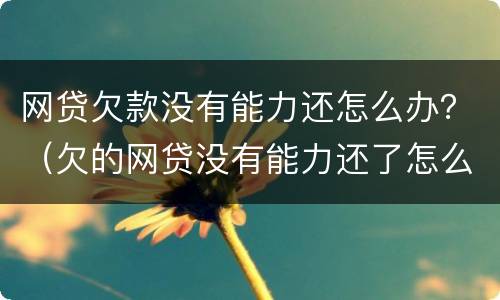 网贷欠款没有能力还怎么办？（欠的网贷没有能力还了怎么办）