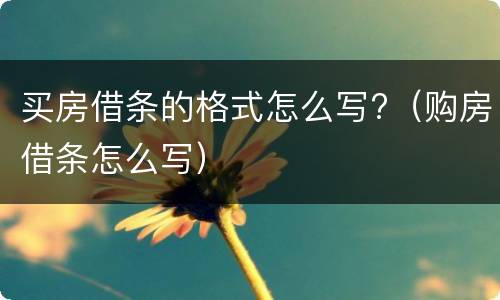 买房借条的格式怎么写?（购房借条怎么写）