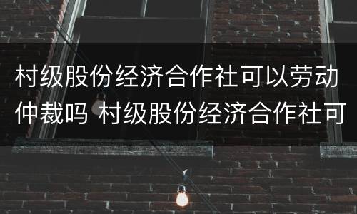 村级股份经济合作社可以劳动仲裁吗 村级股份经济合作社可以劳动仲裁吗怎么申请