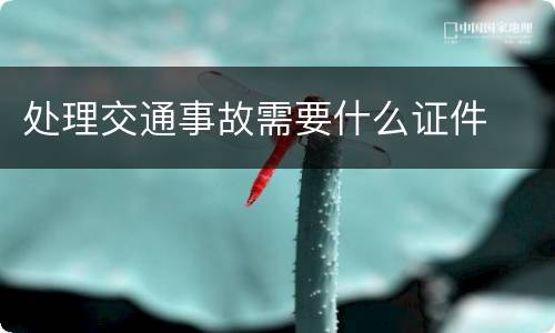 处理交通事故需要什么证件