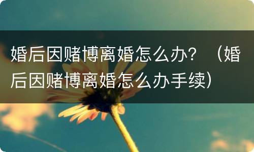 婚后因赌博离婚怎么办？（婚后因赌博离婚怎么办手续）