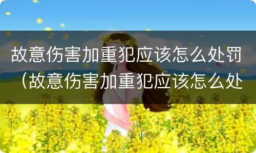 故意伤害加重犯应该怎么处罚（故意伤害加重犯应该怎么处罚呢）