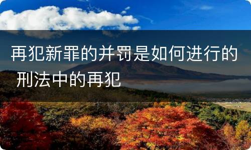 再犯新罪的并罚是如何进行的 刑法中的再犯