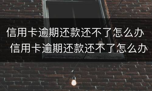信用卡逾期还款还不了怎么办 信用卡逾期还款还不了怎么办?