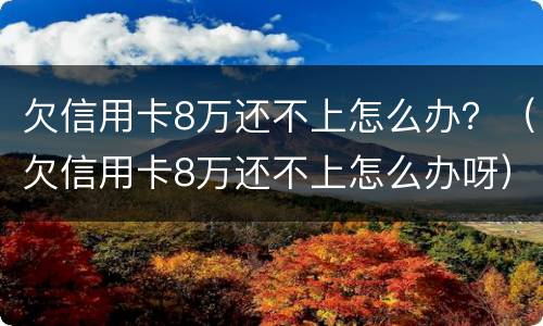 欠信用卡8万还不上怎么办？（欠信用卡8万还不上怎么办呀）