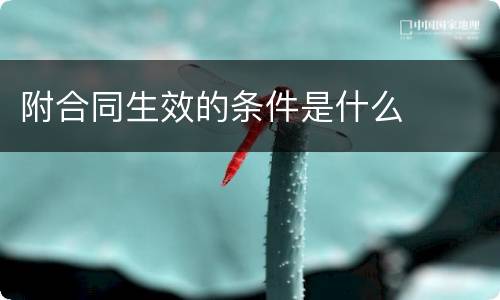 附合同生效的条件是什么
