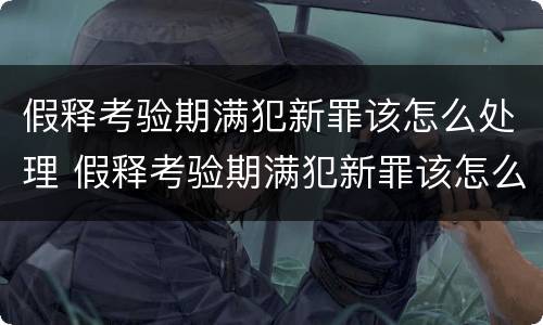 假释考验期满犯新罪该怎么处理 假释考验期满犯新罪该怎么处理呢
