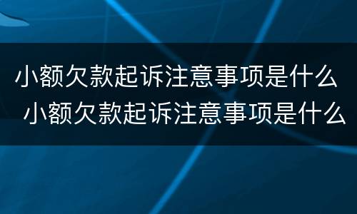 小额欠款起诉注意事项是什么 小额欠款起诉注意事项是什么意思