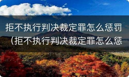 拒不执行判决裁定罪怎么惩罚（拒不执行判决裁定罪怎么惩罚）