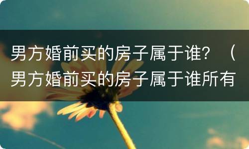 男方婚前买的房子属于谁？（男方婚前买的房子属于谁所有）