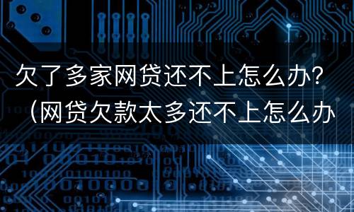 欠了多家网贷还不上怎么办？（网贷欠款太多还不上怎么办）