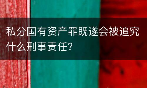 私分国有资产罪既遂会被追究什么刑事责任？