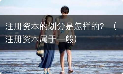 注册资本的划分是怎样的？（注册资本属于一般）