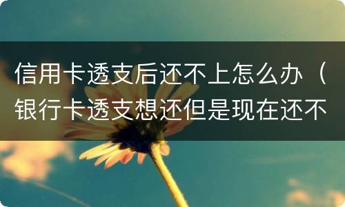 信用卡透支后还不上怎么办（银行卡透支想还但是现在还不上怎么办）