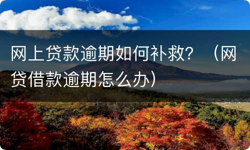网上贷款逾期如何补救？（网贷借款逾期怎么办）