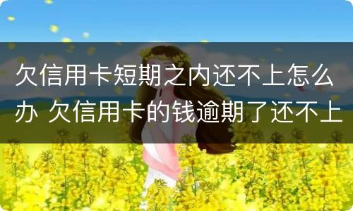 欠信用卡短期之内还不上怎么办 欠信用卡的钱逾期了还不上怎么办