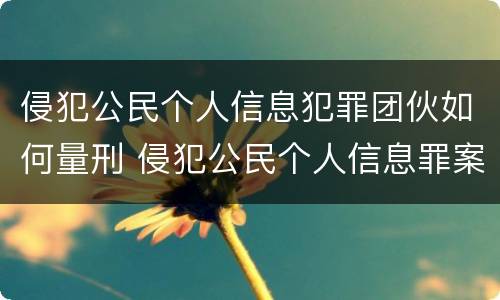 侵犯公民个人信息犯罪团伙如何量刑 侵犯公民个人信息罪案