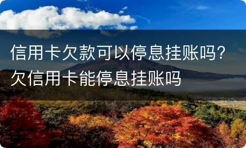 信用卡欠款可以停息挂账吗? 欠信用卡能停息挂账吗
