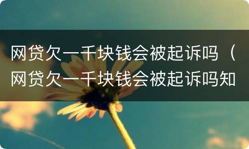 网贷欠一千块钱会被起诉吗（网贷欠一千块钱会被起诉吗知乎）