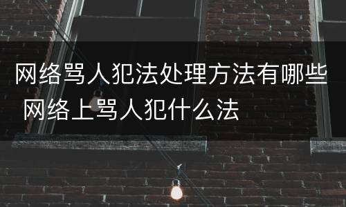网络骂人犯法处理方法有哪些 网络上骂人犯什么法