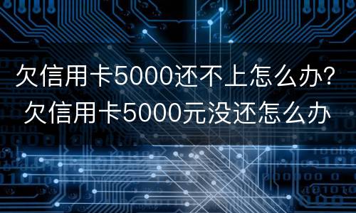 欠信用卡5000还不上怎么办？ 欠信用卡5000元没还怎么办